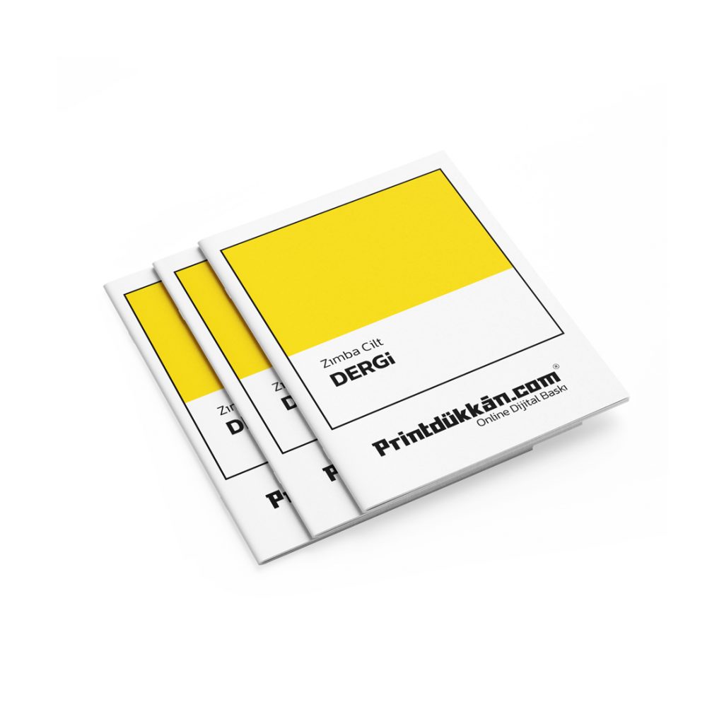 Dergi Baskı